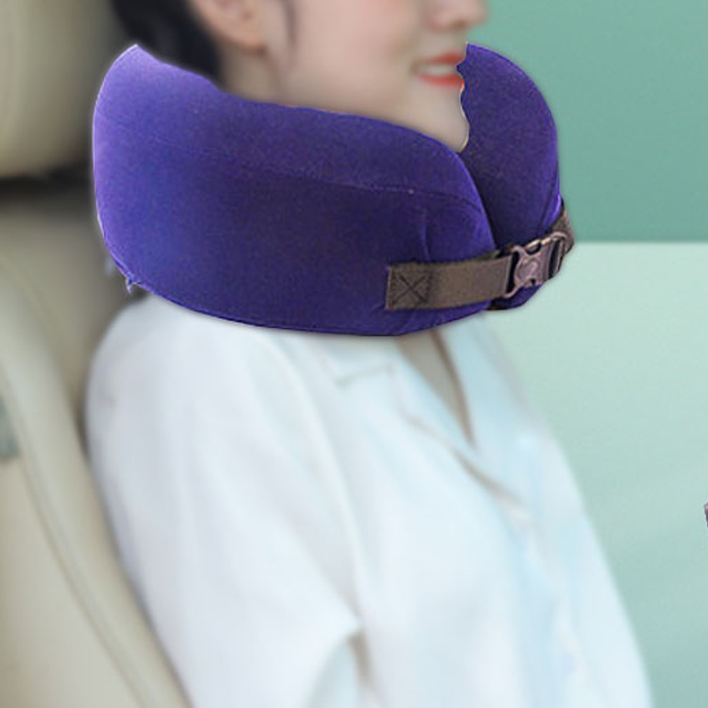 Travel Neck Pillow In Casing